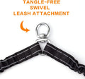 Double Dog Leash for Two Dogs - No Tangle, Comfortable Shock Absorbing Reflective Bungee Leash