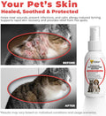 Veterra Dog and Cat Wound Care Spray for Dogs & Cats – Vet Recommended Skin Cleansing Spray, Helps Clean Minor Cuts & Scratches, Supports Skin Hygiene, Gentle No-Sting Formula - 3.38 Oz 100 Ml