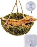 Handmade Crested Gecko Tank Decor – Hanging Shelter for Bearded Dragon Accessories, Reptile Hammock, Hermit Crab, Snake 