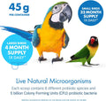 Equa Holistics HealthyGut™ Avian Probiotics Dietary Supplement for Parrots, All-Natural Digestive System Formula (120 Servings)