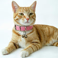 PILHCY 2 Extra Loud Dog and Cat Bells, Heavy Duty Copper Collar Bell with Quick Link for Pet Tracking
