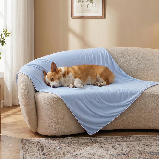 ZOMISIA Cooling Blanket for Medium Dogs - Lightweight Dog Cooling Mat with Breathable Air-Core Fill, Cold Pet Throw Blanket Washable for Summer, Soft Bed Cover, Blue, 30"x40"