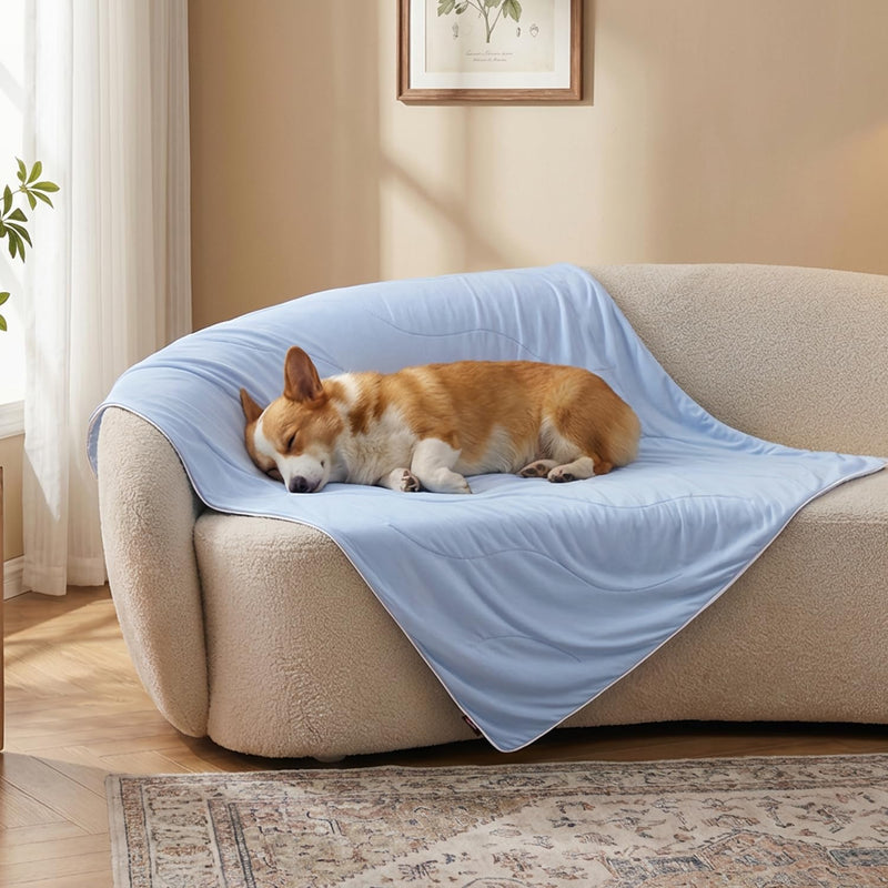ZOMISIA Cooling Blanket for Medium Dogs - Lightweight Dog Cooling Mat with Breathable Air-Core Fill, Cold Pet Throw Blanket Washable for Summer, Soft Bed Cover, Blue, 30