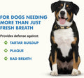 LIQUID-VET Advanced Teeth & Gums Supplements for Dogs | Dental Care for Dogs | Oral Mouth Care | Tartar + Plaque + Gingi