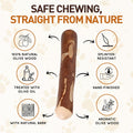 Wildfang® Olive Wood Chewing Sticks for Dogs, Medium – Tough Chew Toys for Aggressive Chewers, Puppy Chew Toys for Teeth