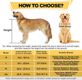 All-Terrain Dog Wheelchair for Back Legs - Lightweight & Adjustable for Medium to Large Dogs - Easy to Assemble Mobility