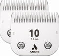 10 Blade (Pack of 2)