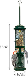 Squirrel Buster Nut Truly Squirrel-Proof Bird Feeder