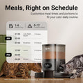 DownyPaws Automatic Cat Feeder 2 Cats, Rechargeable Timed Food Dispenser BK