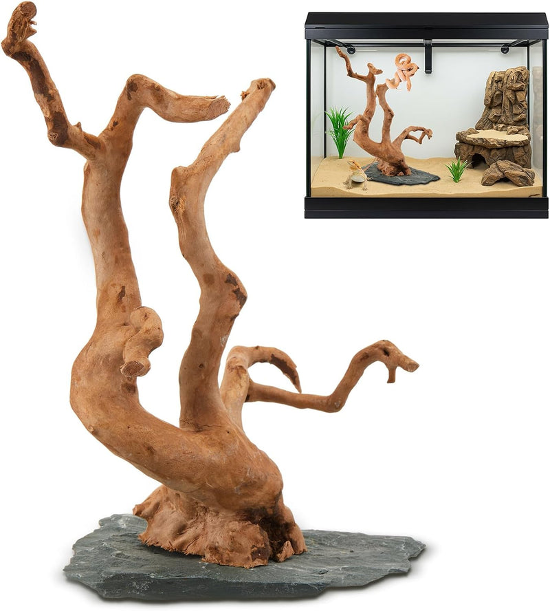 Large Aquarium Driftwood on Base 8.5-11.5 Inch Spider Wood for Reptile Tank