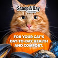 Scoop A Day for Cats | Pumpkin & Blue Mussel Powder Supplement | Daily Digestion, Joint, Mobility, Skin & Coat Support |