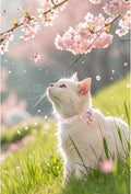 UP URARA PUP Cat Collar, Pack of 2 Summer Kitten Collars-Cute Blueberry and Peach Pendants-Breakaway Kitty Collars,Cat Collar with Bell, for Girl & Boy Cats