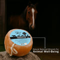 100% Organic Himalayan Salt Lick Provides Essential Minerals for Your Horse/Livestock. This 4.4 lbs Natural Pink Salt Bl