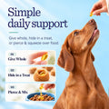 Pure Omega 3 Fish Oil for Dogs, Wild Caught from Iceland, Skin and Coat Supplement for Shedding, Dry Itchy Skin and Allergies, Rich in EPA + DHA with Omega 3, 6