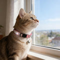 Rhinestone Cat Collar Breakaway, Soft Velvet Cat Collars with Bell, Adjustable Comfortable Cats Collar, 7.5-12.5 Inch for Cat, Kittens and Puppies (Pink)