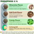 Potaroma 4 Catnip Silvervine Ball Toys, Extra Cat Energy Ball, Edible Cats Lick Kitten Chew, Teeth Cleaning Dental Wall Treats, Concentrated Flavor for All Breeds