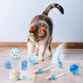 MALLMALL6 Cat Toy Set Interactive Cat Toys 10Pcs Pack Including Cat Springs Feather Teaser Wand Mice Crinkle Balls and P