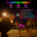 Light Up Dog Harness, LED Rechargeable Safety Dog Harness for Night Walking