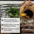 SunGrow Crested Gecko, Snake & Ball Python Coco Hut, Treat & Food Dispenser, Climbing Porch, Hiding, Ideal for Reptiles,
