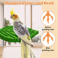 3 Pcs Parrot Perch Resin Bird Beak Grinding Stone