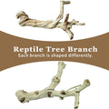 BNOSDM Reptile Branches, 9.5-11.4inch Snake Climbing Branch, Terrarium Wood Branch Decor, Bearded Dragon Tank Climbing A