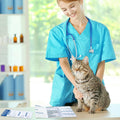 Dunzoom 25 Pcs Cat Health Records Cat Vaccine Record Book Kitten Vaccination Record Card Foldable Cat Vaccines Shot Record Kitten Health Record Booklet for Cat Nursing Supplies