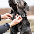 Herm Sprenger ClicLock Fastener Stainless Steel Buckle for Prong Dog Training Collar & Quick Release with Easy Buckle fo