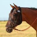 Arabian
