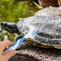 NOLITOY 2Pcs Turtle Shell Cleaning Brush Double-Sided Plastic Scrubbers with Ergonomic Grip for Turtle Care Aquarium Use