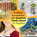 SunGrow Leopard Gecko Cholla Wood, 5 Inches Long, Create Basking Spot, Artistic Home-Decor, Lizards and Bearded Dragons,