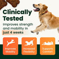 VetriScience Extra Strength Healthy Hip & Joint Chews, GlycoFlex Glucosamine and Green-Lipped Mussel Joint Support Supplement for Small Breed Dogs, Soothe Joint Discomfort, Chicken, 60 Count