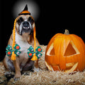 24PCS Halloween Dog Hair Bows with Rubber Band for Large Dogs Topknot