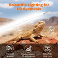 T5 10.0 UVB Reptile Light Fixture Combo Kit 24W 22'', with UV Sensor Card