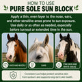 Horse Skin Summer Protection Bundle | Includes Pure Sole Horse Sunscreen Cream (8 oz) and Bug Off Balm (8 oz) | Helps Pr