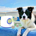 6 Pack Dog Toy Balls, 2.3 Inch ETPU Material, Replacement Balls for Automatic Ball Launcher Machine, Perfect for Small &