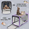 TIYOLAT Pet Carrier for Large Cats of 20 Lbs, Collapsible Carrier Bag for Big Cat or 2 Kittens,Soft Sided Puppy Carrier with Sturdy Travel Transport Strap, Adequate Ventilation, 4 Mesh Windows (Black)