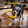 Boops Pets NAD+ Precursor & Senior Dog Supplement - 90 Soft Chews - NMN Alternative for Longevity & Healthy Aging - Nicotinamide Riboside, Resveratrol, Quercetin, Made with Pasture-Raised Chicken