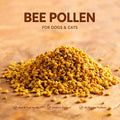 Bee Pollen for Dogs and Cats – Skin & Coat Health, Immune Support – Rich in Vitamins & Minerals – Picky Pet Friendly – 4