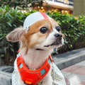 NAMSAN Dog Helmet for Small Dogs Cats, XS Pet Helmets Outdoors Cycling Riding, Head Protection Dog Helmets with Ear Hole