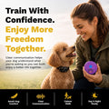 Educator ME-300 Micro E Collar for Dog Training with Remote - 1/3 Mile Range, Waterproof, 100 Blunt Stimulation Levels, 