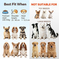 Elevated Dog Bowl Set of 2 - Double Glass Bowls with Gold Iron Stand - Raised Dishes Comfortable Feeding - Ideal for Sma