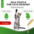 Сat Kidney Support | Milk Thistle for Cats | Herbal Supplement for Kittens & Adult Ones | Solution for All Breeds | Care for Liver | Сhicken Flavor | 2 Oz