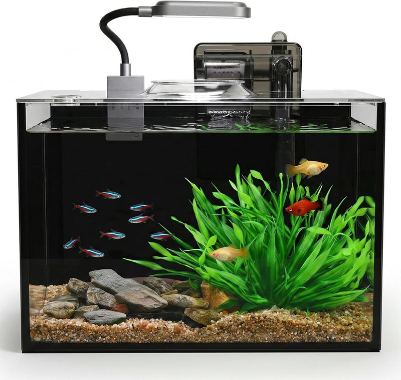 2.5 Gallon Nano Aquarium Kit, Glass Small Fish Tank Starter Kit with Light, Filter, Gravel Rock,Lid. Ultra Clear Rimless