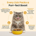 Cat Food Toppers, Chicken Bone Broth Gravy for Cats & Kittens, 8 oz