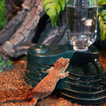 REPTI ZOO Water Feeder and Fogger, 2 in 1 Reptile Humidifier with Water Bowl, Automatic Water Dispenser for Chameleon Fr