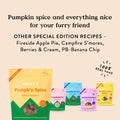 Bocce's Bakery Pumpk'n Spice Flavor Soft & Chewy Dog Treats, 6 oz