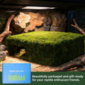 Mossy Cave Hide for Reptiles, Lizard Moss Hideout with Safe Shelter