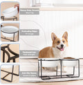 Ceramic Elevated Dog Bowls with Stand - Raised Dog Bowls for Medium Dogs - Double Pet Food and Water Dishes Set with Ant