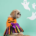 Fitwarm Halloween Pumpkin Dog Dress, Funny Dog Halloween Costumes, Doggy Clothes for Small Dogs Girl, Pet Apparel, Orang