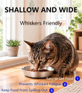 2 Pack 304 Stainless Steel 6" Shallow Wide Cat Bowls for Food and Water